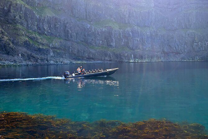 1 Hour Iceland Nature and Wildlife RIB Small Group Guided Safari - Key things I’d watch for on this RIB safari