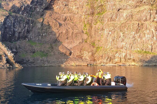1 Hour Iceland Nature and Wildlife RIB Small Group Guided Safari - RIB speed + access: why this works for East Iceland wildlife