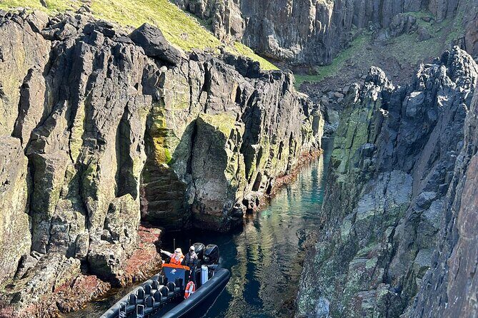 1 Hour Iceland Nature and Wildlife RIB Small Group Guided Safari - The 1-hour ride: what you’ll actually do on the water