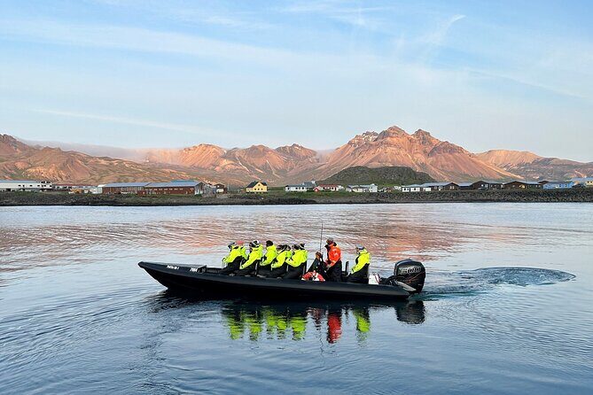 1 Hour Iceland Nature and Wildlife RIB Small Group Guided Safari - Puffins, seals, and the whale odds you can plan for