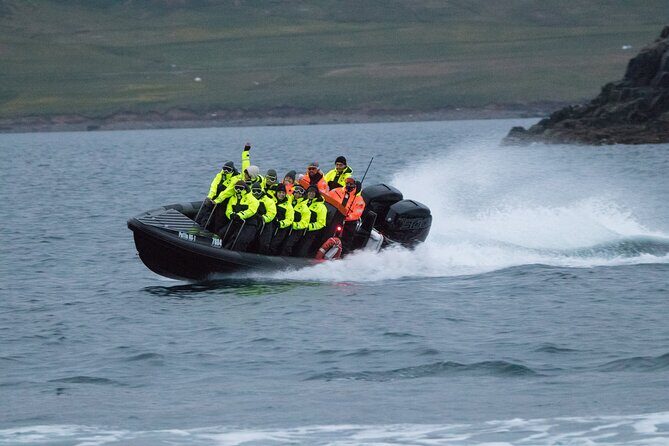 1 Hour Iceland Nature and Wildlife RIB Small Group Guided Safari - Price and value: is $160 for an hour a smart buy?