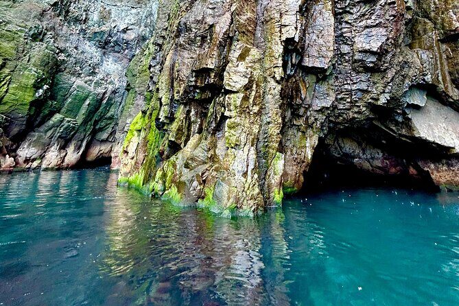 1 Hour Iceland Nature and Wildlife RIB Small Group Guided Safari - Who this tour suits best (and who should think twice)