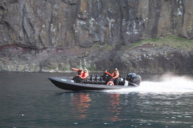 1 Hour Iceland Nature and Wildlife RIB Small Group Guided Safari - Weather, sea conditions, and setting expectations