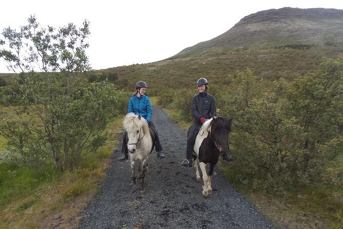 1+ hour Private Horse riding tour from Reykjavík/Mosfellsbær - Key highlights you’ll actually care about