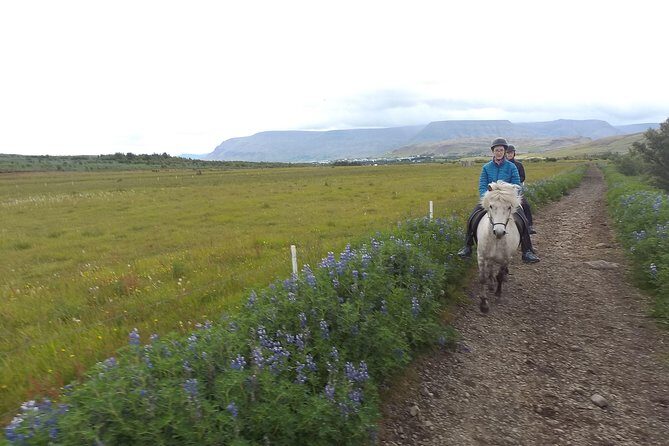1+ hour Private Horse riding tour from Reykjavík/Mosfellsbær - A private Icelandic horse ride that starts in the stable