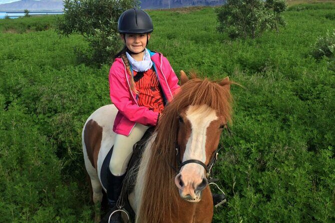 1+ hour Private Horse riding tour from Reykjavík/Mosfellsbær - The Icelandic horse connection: culture lessons in plain language