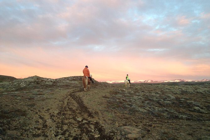 1+ hour Private Horse riding tour from Reykjavík/Mosfellsbær - Price and value: what you’re really paying for