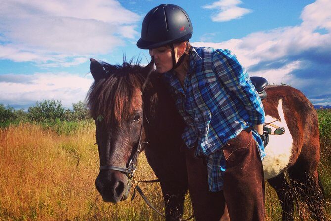 1+ hour Private Horse riding tour from Reykjavík/Mosfellsbær - What you do before you ride: grooming, bonding, and basics
