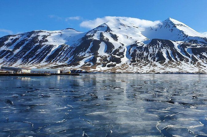 1-Hour Siglufjörður Stroll - The guide factor: informative, witty, and practical