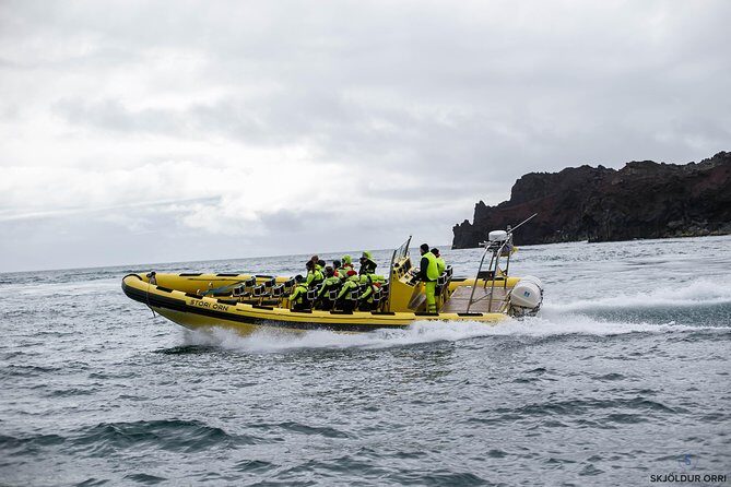 1-Hour Small Group Sightseeing Boat Tour in Vestmannaeyjar - Small-group limits (12 max) and what that changes on the boat