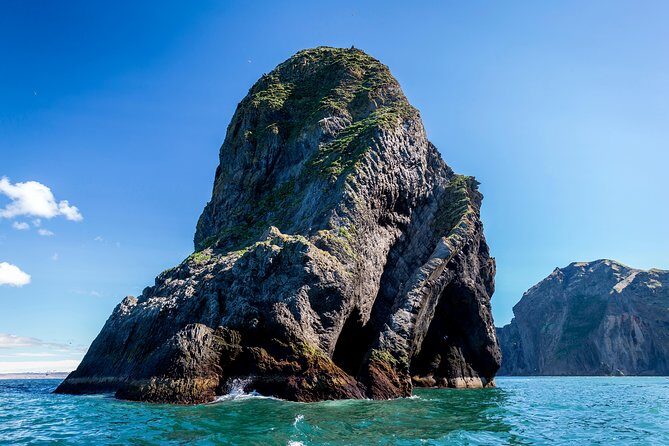 1-Hour Small Group Sightseeing Boat Tour in Vestmannaeyjar - Price, gear, and the real question: what are you paying for?