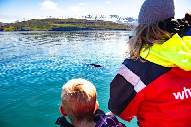 100% Whale Watching - Hauganes and Eyjafjörður: Why This Route Matters