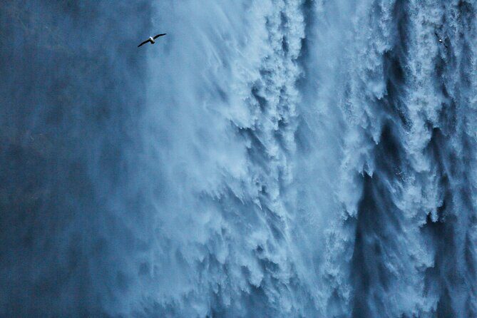 2-Day South Coast Waterfalls, Jokulsarlon Glacier Lagoon and Hike from Reykjavik - Fellsfjara Ice on Black Sand: The Second Side of the Lagoon