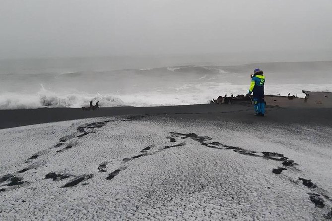 2-Hour Black Sand Beach Buggy Tour from Hella - On the black sand beach: waves, birds, seals, and the best kind of chaos