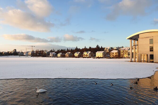 2-Hour Reykjavik Private Walking Tour - Hallgrímskirkja: The Optional Viewpoint Stop and Its ISK 1,500 Admission