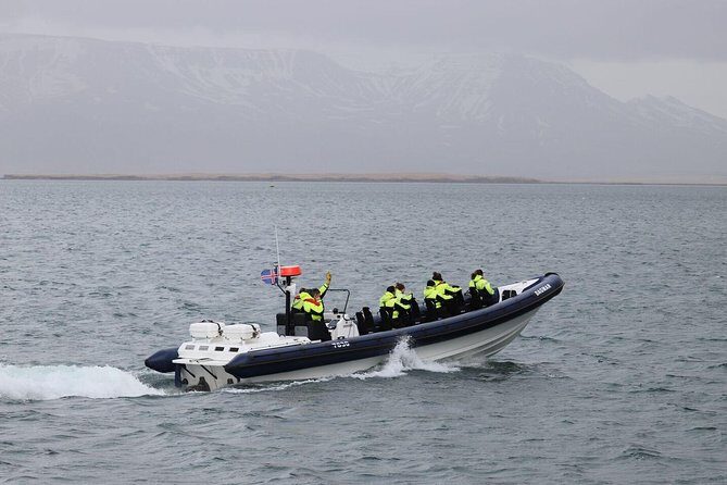 2-Hour RIB Boat Whale Watching Tour from Reykjavik - Quick hits before you book