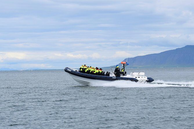 2-Hour RIB Boat Whale Watching Tour from Reykjavik - Akurey puffin stop in summer: short walk, big payoff