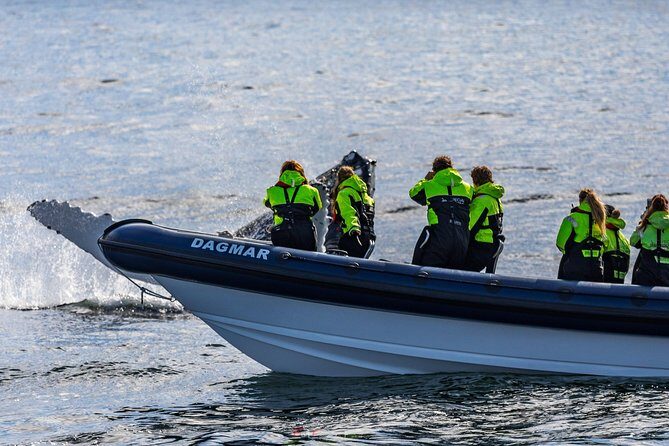 2-Hour RIB Boat Whale Watching Tour from Reykjavik - A few real-world tour details to watch for