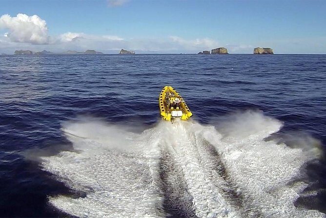 2 hour Round Trip in Vestmannaeyjar on a RIB Boat - Key things that make this tour worth your time