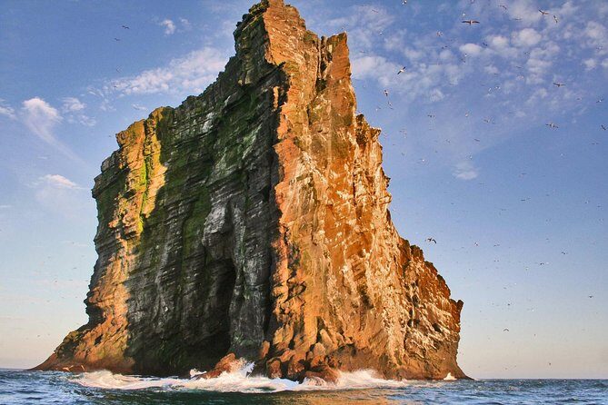 2 hour Round Trip in Vestmannaeyjar on a RIB Boat - RIB boat vs. “regular” boats in Vestmannaeyjar
