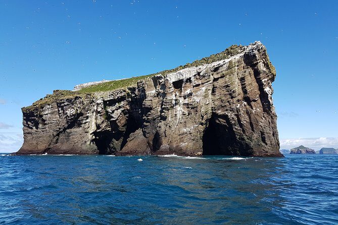 2 hour Round Trip in Vestmannaeyjar on a RIB Boat - The guide matters more than you think