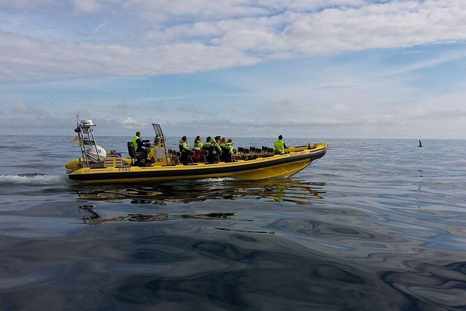 2 hour Round Trip in Vestmannaeyjar on a RIB Boat - Weather rules: when you should plan a backup day