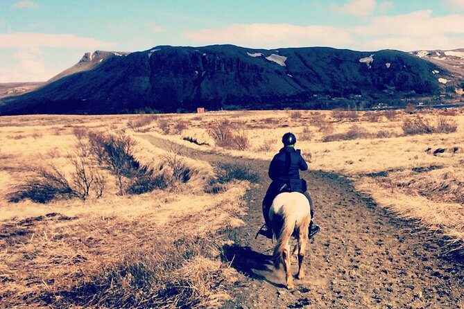 2 hours Private Horse Riding to Lake Hafravatn, Reykjavík - Mos - Quick hits before you book