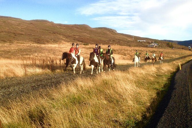 2 hours Private Horse Riding to Lake Hafravatn, Reykjavík - Mos - Who should ride Lake Hafravatn on horseback?