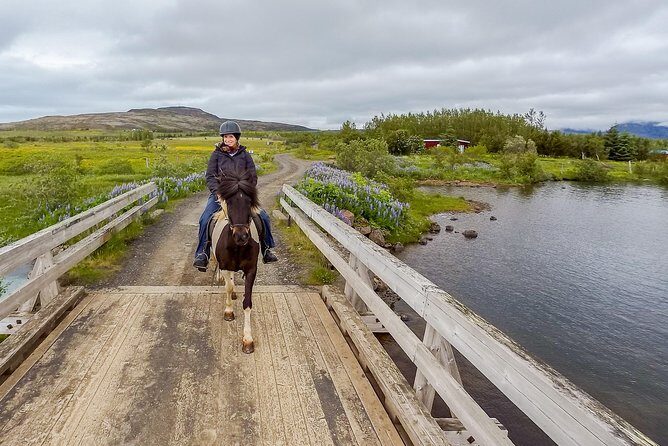 2 hours Private Horse Riding to Lake Hafravatn, Reykjavík - Mos - Should you book this private ride to Lake Hafravatn?