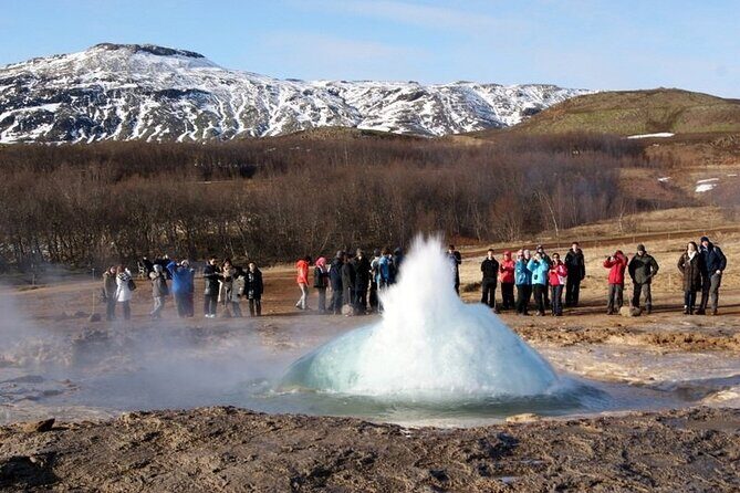 5-Days Land of Northern Lights Tour from Reykjavík - South Coast day: waterfalls, black sand, Vik, and an optional glacier hike