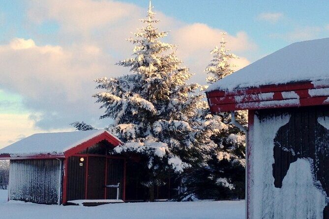 5-Days Land of Northern Lights Tour from Reykjavík - Gear and weather: small things that prevent big annoyances
