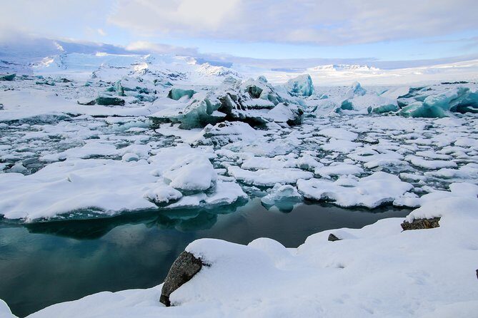 6-Day Summer Ring Route of Iceland Small-Group Tour - Day 6: Akureyri time and Hauganes whale watching