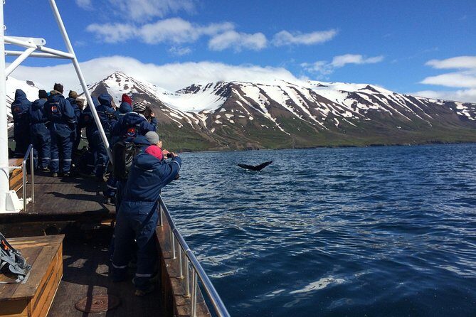 7-Day Complete Iceland: South Coast, Golden Circle, Akureyri & Snaefellsnes - Borgarfjörður and Reykholt: volcanic craters, waterfalls, and Snorri Sturluson