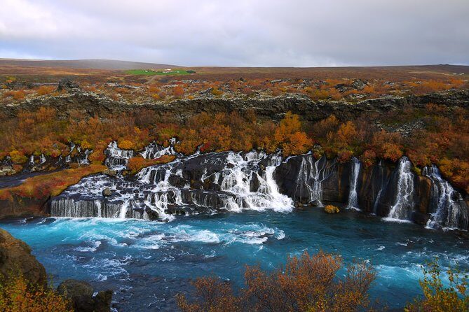7-Day Complete Iceland: South Coast, Golden Circle, Akureyri & Snaefellsnes - Snæfellsnes finale: Arnarstapi 13 cottages and Kirkjufell’s iconic silhouette