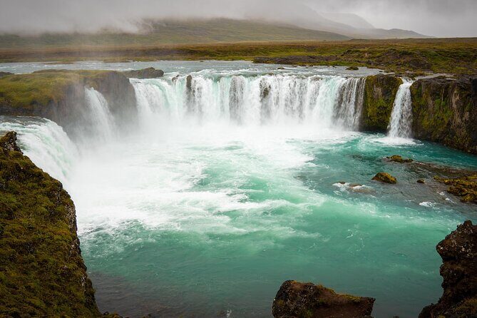 7-Day Small Group Journey Around Iceland - Eastfjords to Höfn: remote fishing villages and wild reindeer