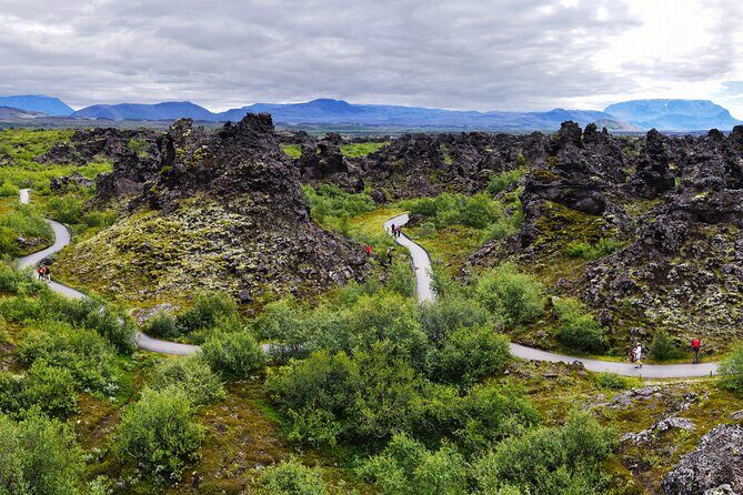 7-Day Small Group Journey Around Iceland - South Coast power stops: Reynisfjara, puffins, and the waterfall double feature