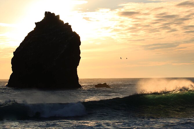9 Days Self-Drive Tour with Pick Up - Ring Road Tour - 4x4 Campervan - Day 2 on the South Coast: waterfalls behind glass, black sand drama, and horses in Vík