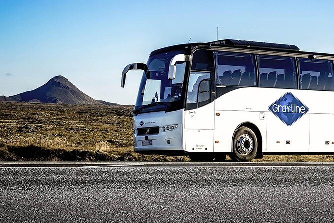 Airport Express Shared Arrival Transfer from Keflavik Airport to Reykjavik Hotels - Price and Value: What You’re Really Paying For