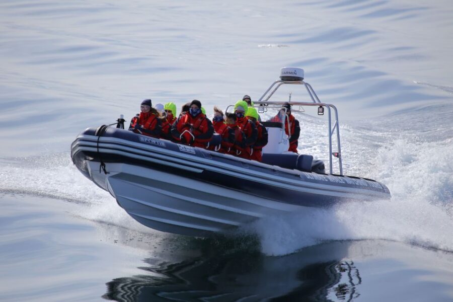 Akureyri: 2-Hour Whale Watching Express by RIB Speedboat - Price and Value: Is $200 Worth It?