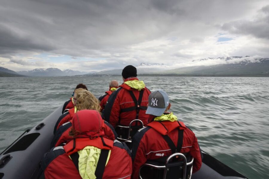 Akureyri: 2-Hour Whale Watching Express by RIB Speedboat - Who Should Book This Akureyri Whale Watching Express?