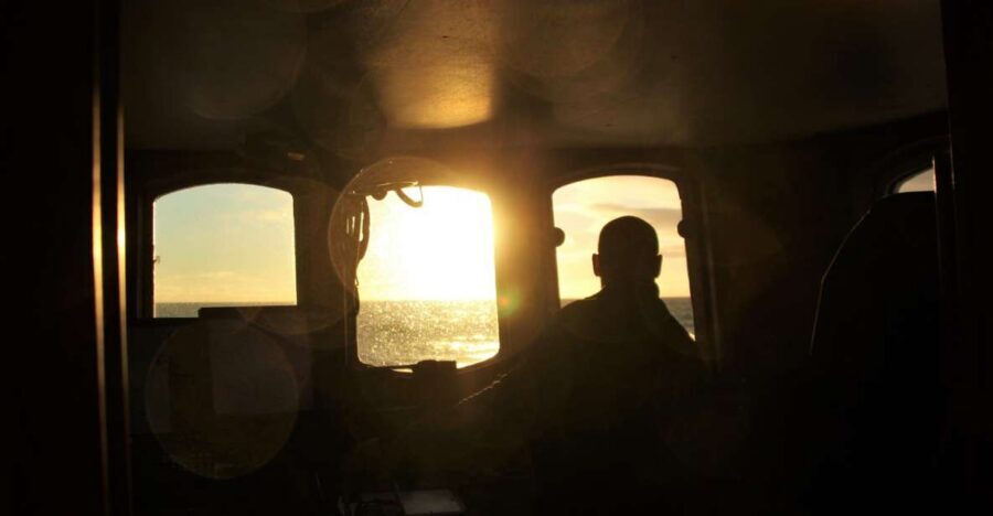 Akureyri: Whale Watching in the Midnight Sun - Key things to know before you go