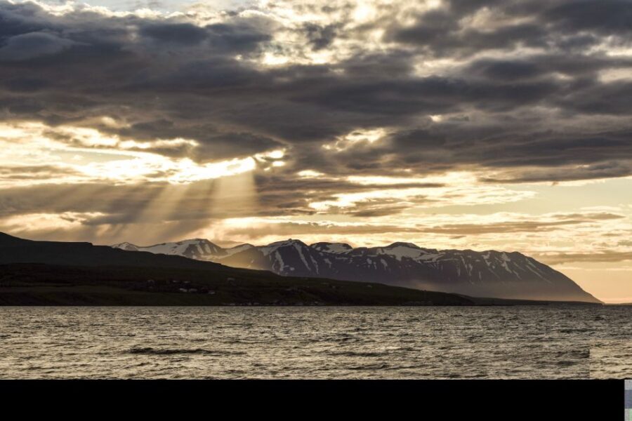 Akureyri: Whale Watching in the Midnight Sun - Who should book this and who might skip it