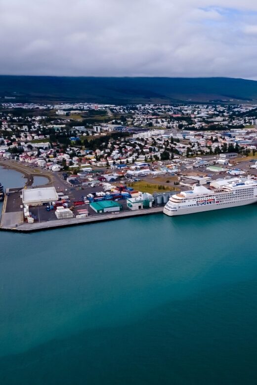 Akureyri: Whale Watching Shore Excursions - Close viewing without the chaos