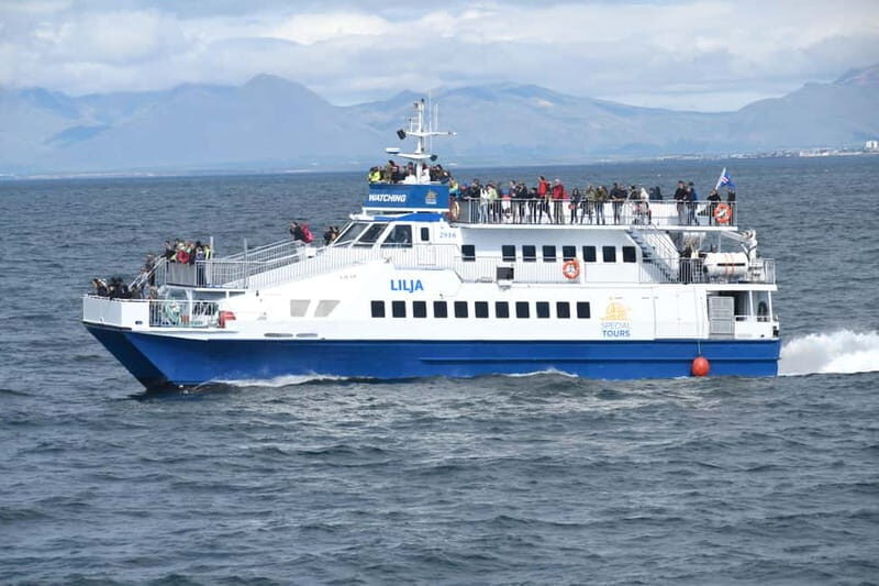 Akureyri: Whale Watching Shore Excursions - Price and value: what you’re paying for at $100 per person