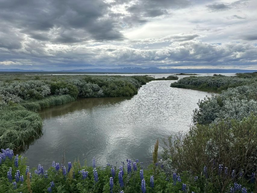 ATV guided trip close to dettifoss iceland - Pricing: $200 is about value, not just the ATV