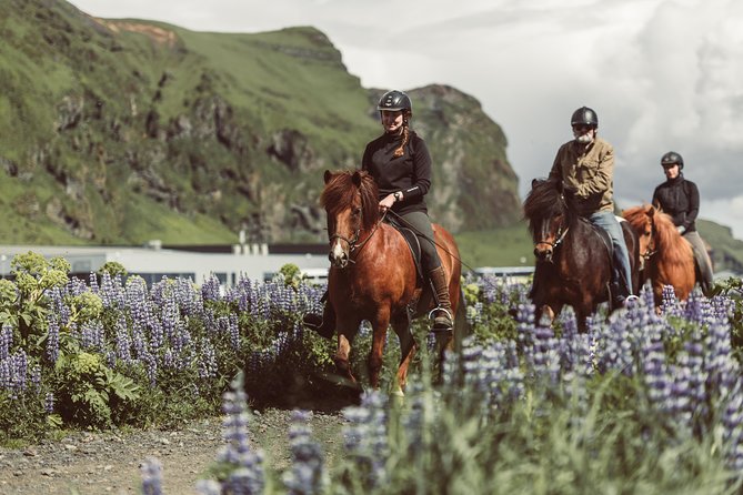 Black Sand Beach Horse Riding Tour from Vik - Small group energy, friendly coaching, and real safety habits