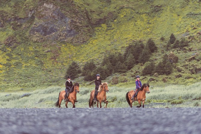 Black Sand Beach Horse Riding Tour from Vik - Horses that feel cared for (and why that matters)