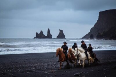 Black Sand Beach Horse Riding Tour from Vik - The one-hour itinerary: what you’ll do at each moment