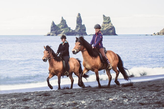 Black Sand Beach Horse Riding Tour from Vik - Who this tour fits—and the limits that keep it safe