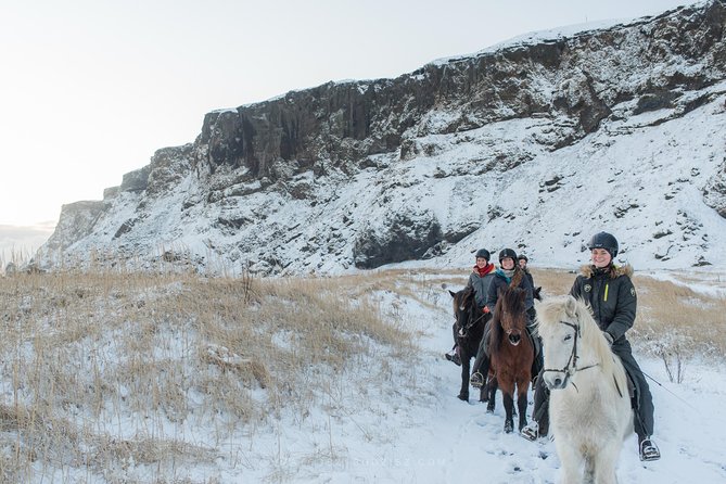 Black Sand Beach Horse Riding Tour from Vik - Weather reality at Vík: how wind affects your chances